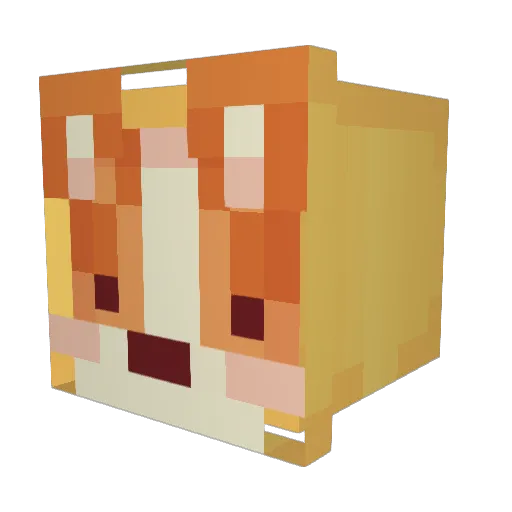 ChilliHotDog Minecraft avatar head, 3D render