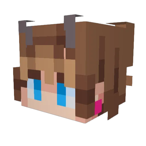 Chilli_Mayo Minecraft avatar head, 3D render