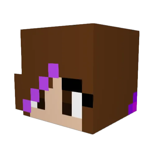 Chilli_Weiner Minecraft avatar head, 3D render