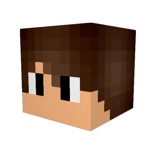 Chillmaster007 Minecraft avatar head, 3D render