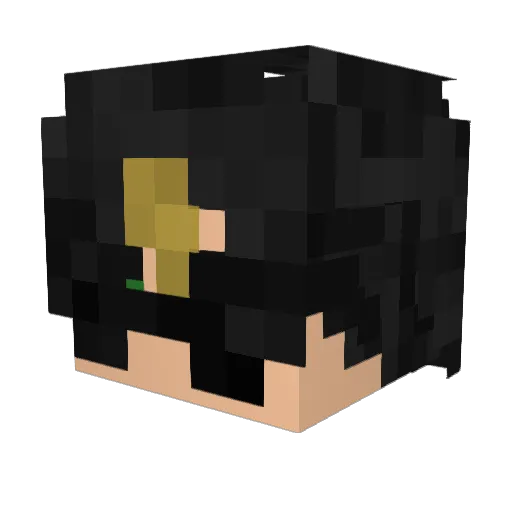 Chillpolar Minecraft avatar head, 3D render