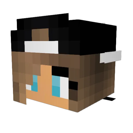 Chills07 Minecraft avatar head, 3D render