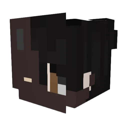 ChillsNarrator Minecraft avatar head, 3D render