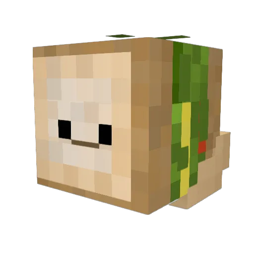 Chilltamago Minecraft avatar head, 3D render