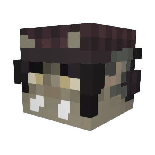 ChillyBnuuy Minecraft avatar head, 3D render