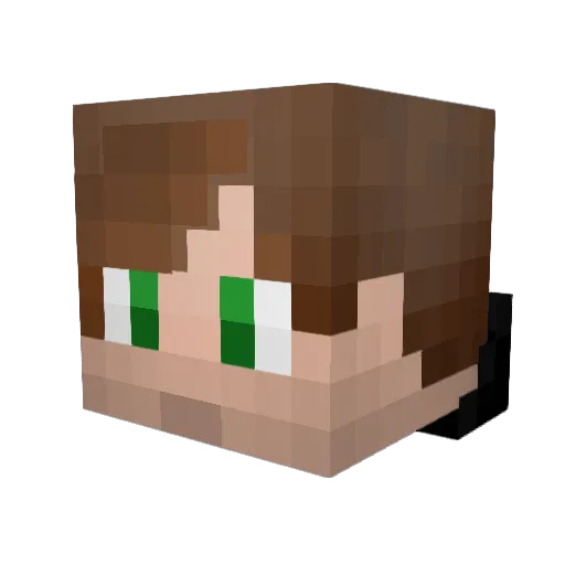 ChillyFir Minecraft avatar head, 3D render
