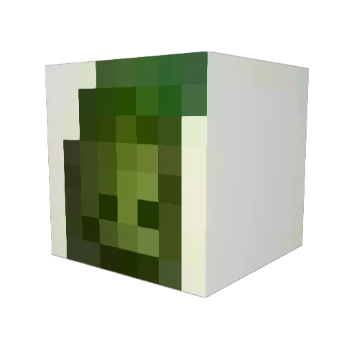 ChillyPepper276 Minecraft avatar head, 3D render