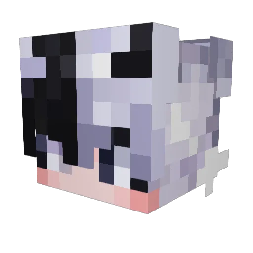 ChimChim8594 Minecraft avatar head, 3D render