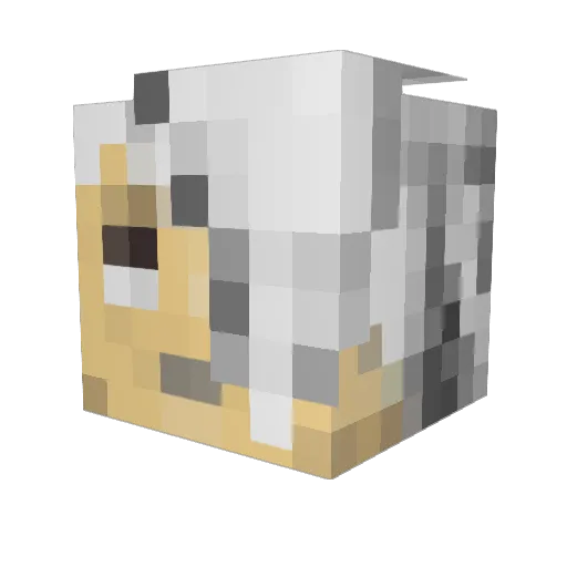 Chim_ra Minecraft avatar head, 3D render