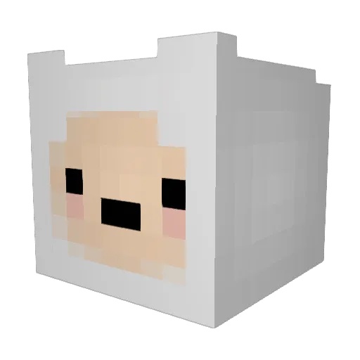 Chimbaer Minecraft avatar head, 3D render