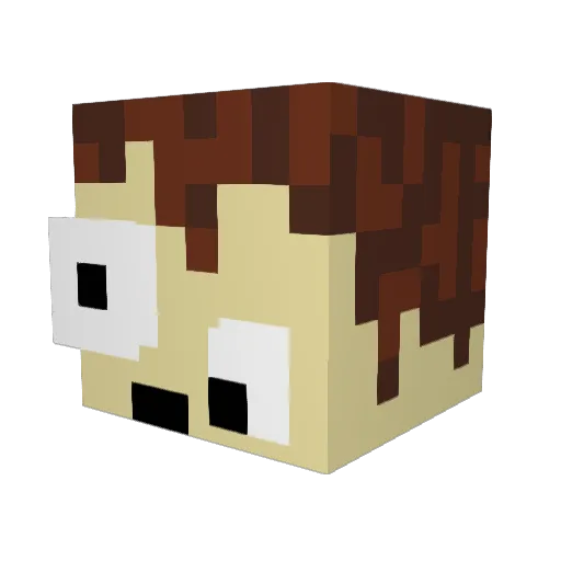 Chimbleybimbley Minecraft avatar head, 3D render