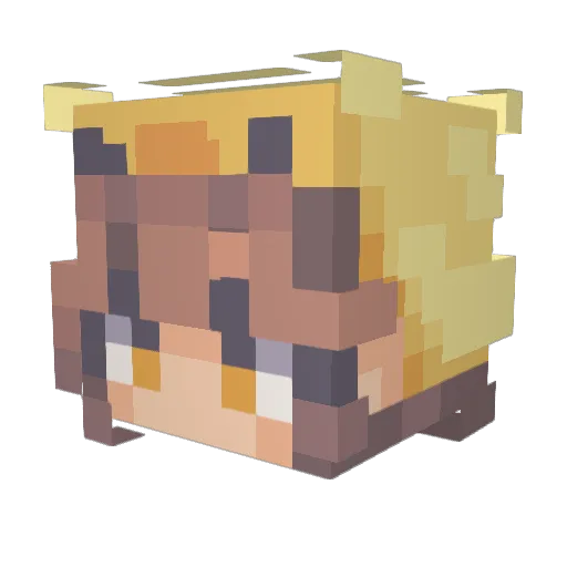 Chimken19 Minecraft avatar head, 3D render