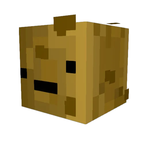 ChimkenNuggeeez Minecraft avatar head, 3D render