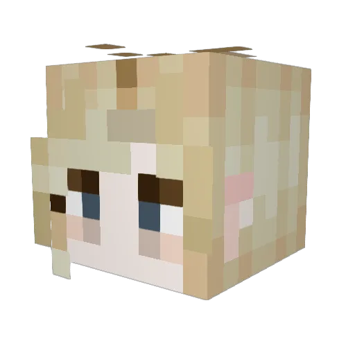 Chimken_Nuggs Minecraft avatar head, 3D render