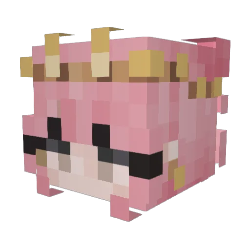 Chimkin_Nuggit Minecraft avatar head, 3D render