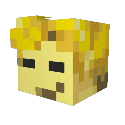 Chimmy303 Minecraft avatar head, 3D render