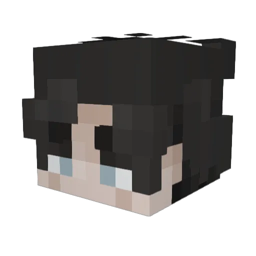 ChimpxACiD Minecraft avatar head, 3D render