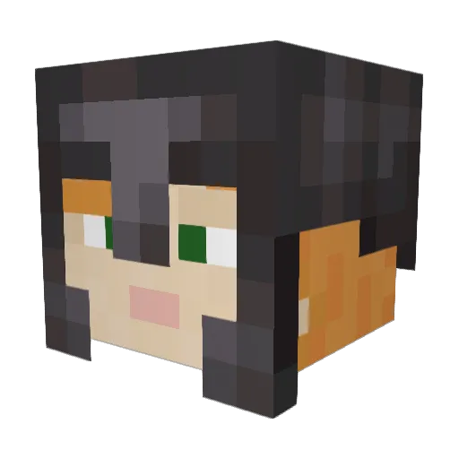 ChinaPanda10 Minecraft avatar head, 3D render