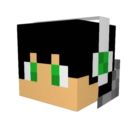 Chinchar_BR Minecraft avatar head, 3D render
