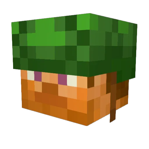 Chinczy_ Minecraft avatar head, 3D render