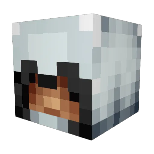 ChineseFirebolt Minecraft avatar head, 3D render