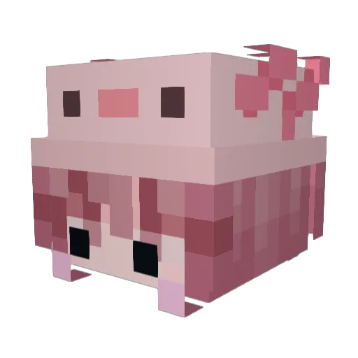 ChinitaFlip Minecraft avatar head, 3D render