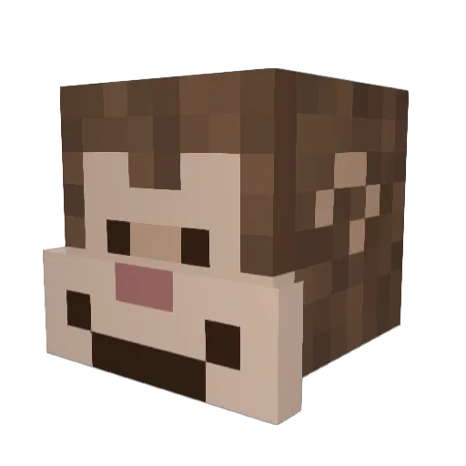 Chinook101 Minecraft avatar head, 3D render