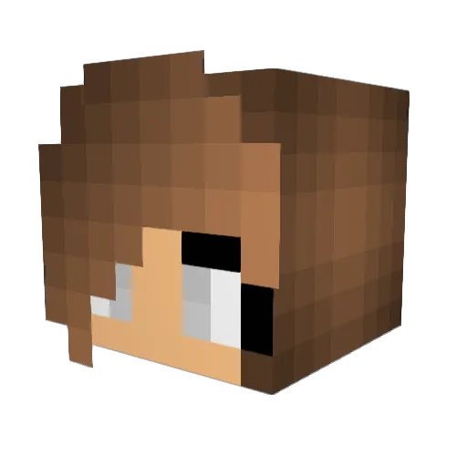 Chinwax__ Minecraft avatar head, 3D render