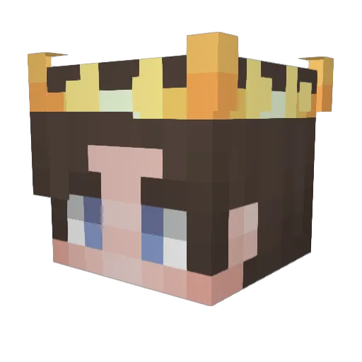 ChipFlip Minecraft avatar head, 3D render
