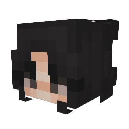 ChipHzrd Minecraft avatar head, 3D render