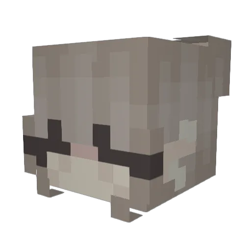 ChipNixz Minecraft avatar head, 3D render