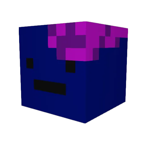 Chip_is_a_legend Minecraft avatar head, 3D render