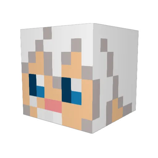 Chipdoodle Minecraft avatar head, 3D render