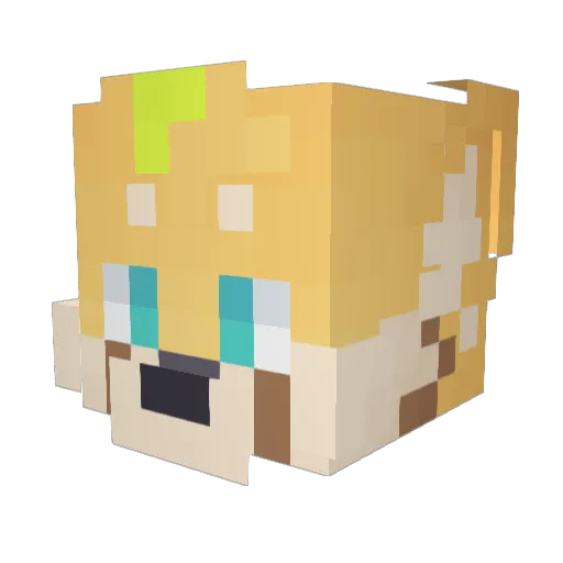 Chipfoxxo Minecraft avatar head, 3D render