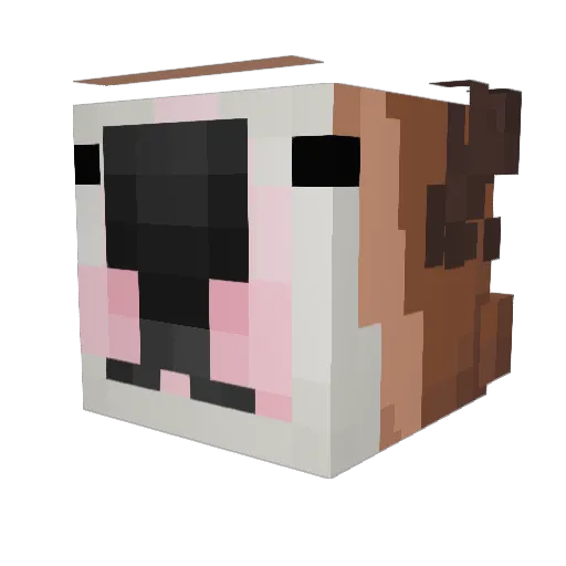 Chipitap_ Minecraft avatar head, 3D render