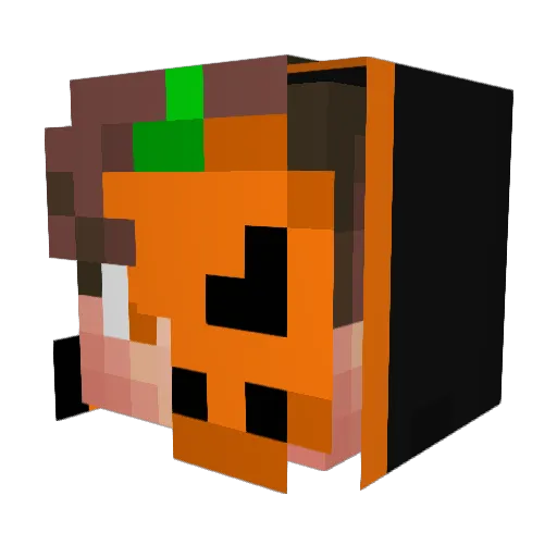 Chippy526 Minecraft avatar head, 3D render