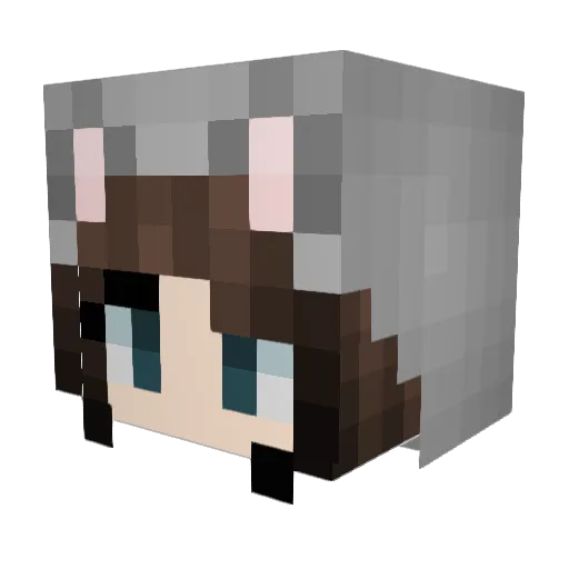 ChippyChippy520 Minecraft avatar head, 3D render