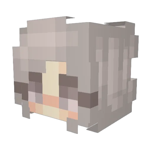 ChipsFrites Minecraft avatar head, 3D render