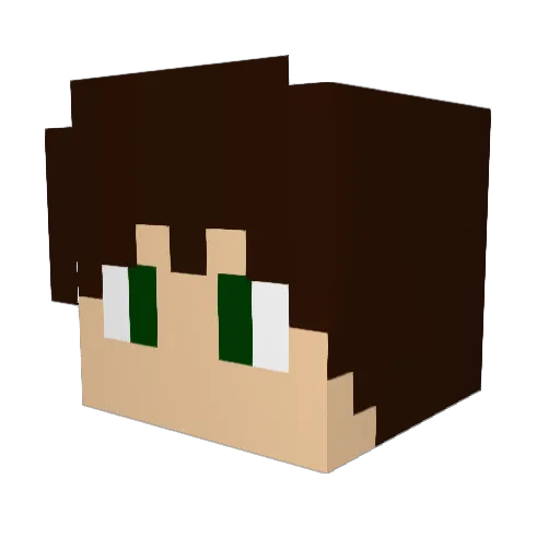 Chips_Dad Minecraft avatar head, 3D render