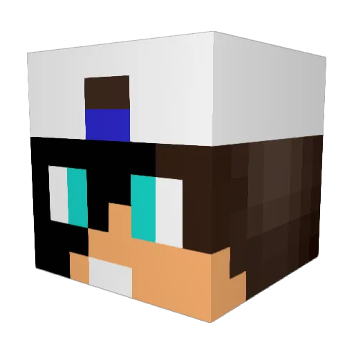 Chips_Spicy Minecraft avatar head, 3D render