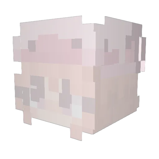 Chipsndipp Minecraft avatar head, 3D render