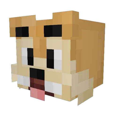 Chipsy555 Minecraft avatar head, 3D render