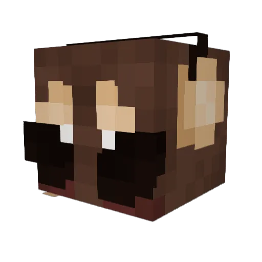 Chiptune_Weevil Minecraft avatar head, 3D render