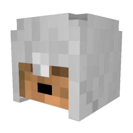 Chiqs89 Minecraft avatar head, 3D render