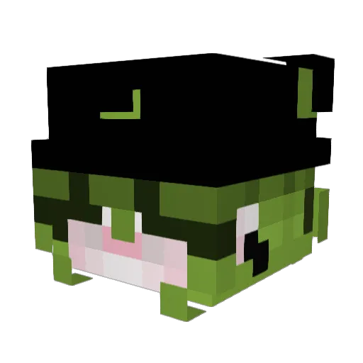 ChiquiFlow_ Minecraft avatar head, 3D render