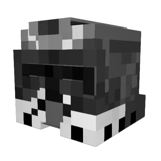 Chiraln Minecraft avatar head, 3D render