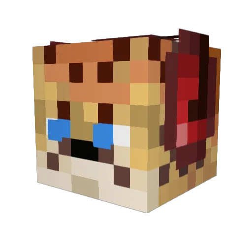 ChirpingCat Minecraft avatar head, 3D render