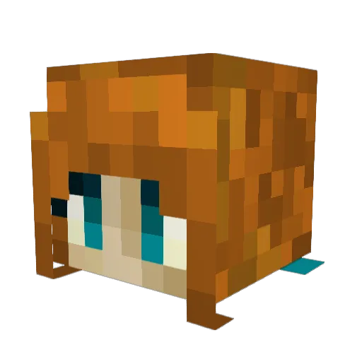 ChirpywaraTofu86 Minecraft avatar head, 3D render