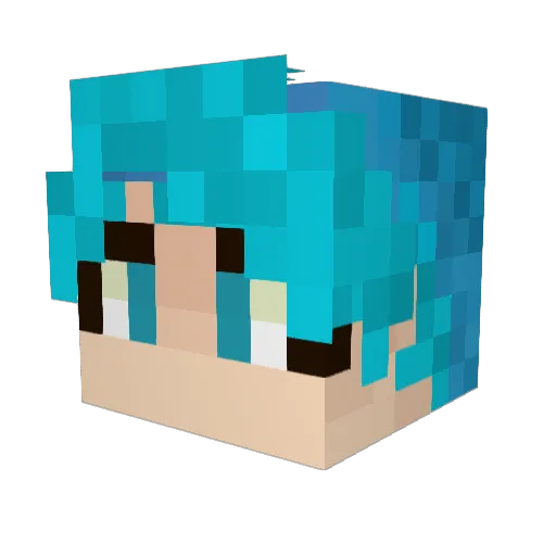 Chisadark Minecraft avatar head, 3D render