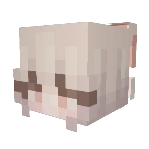 Chisey Minecraft avatar head, 3D render